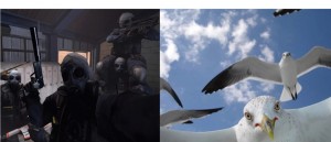 Create meme: Seagull, cs go selfie, seagulls pictures