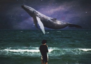Create meme: play the blue whale, sea of whales, the blue whale