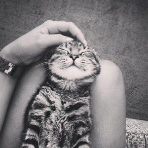 Create meme: Darina Nechayev cat, cat Evgeniya Igorevna, photo Darina kot