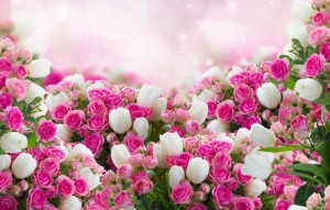 Create meme: roses tulips, flowers, bouquet of flowers background