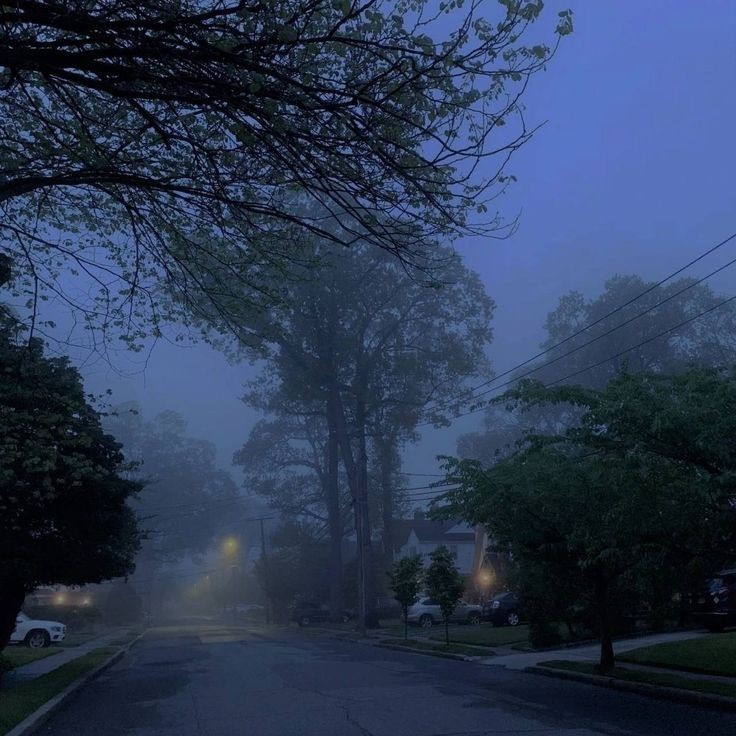 Create meme: 2d fog, foggy morning in the city, night fog