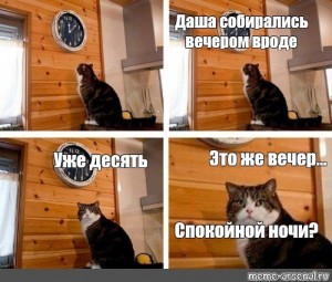 Create meme: cat meme, cat time, meme with a cat and a clock