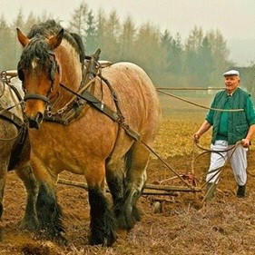 Создать мем: beygir, with horse, heavy horses