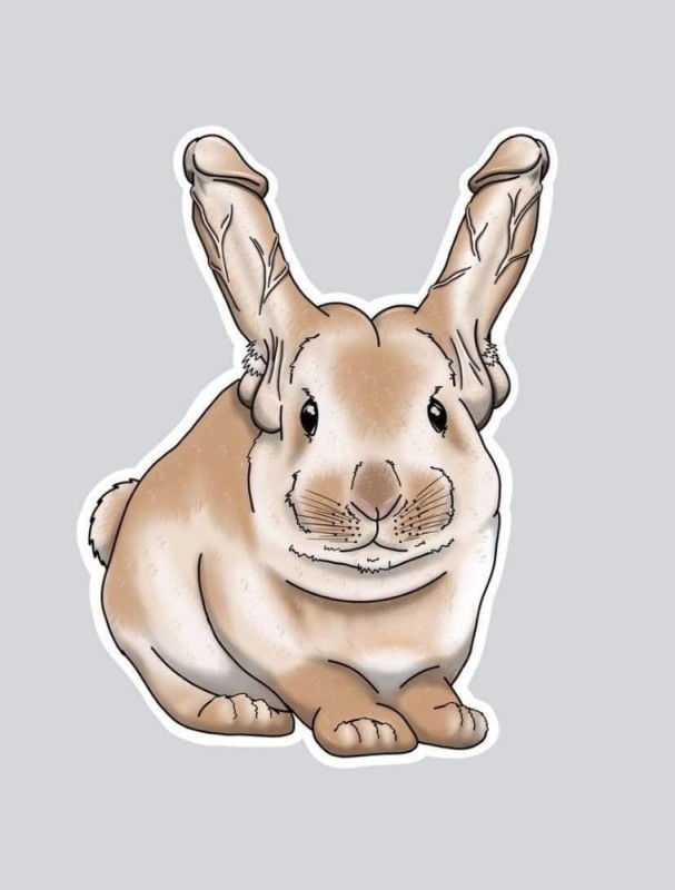 Create meme: rabbit on white background, rabbit hare, rabbit illustration