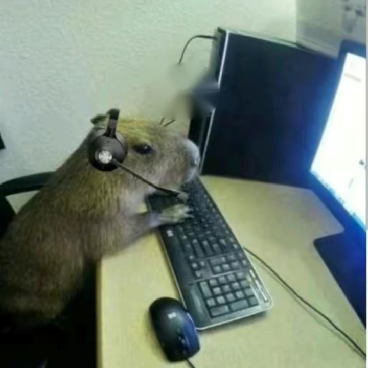 Create meme: capybara and rat, capybara is sitting at the computer, capybara is funny