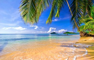 Создать мем: море пляжи, море пальмы песок фото, тропический пляж обои