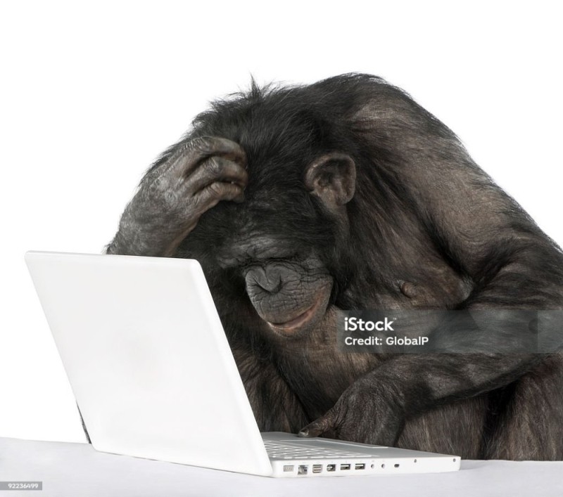Create meme: the monkey is thinking at the computer, chimpanzees , the monkey behind the computer