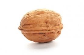 Создать мем: walnut, грецкий орешек, грецкий орех на белом фоне