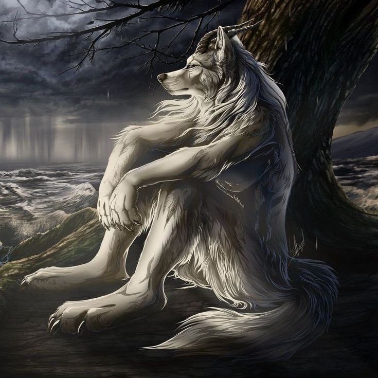 Create meme: grey wolf , werewolf fantasy, werewolf 