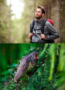 Create meme: a photo of a man with a beard in the woods, falconry, the cuckoo shouts pictures