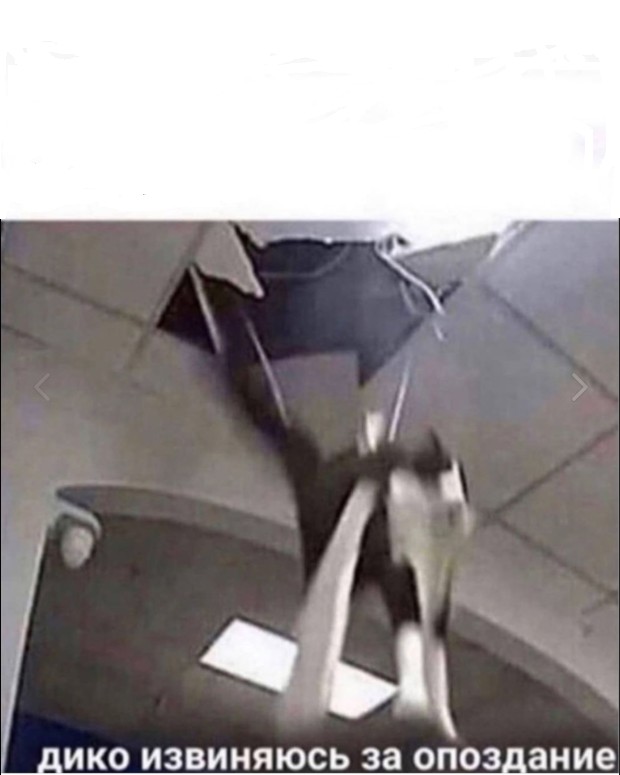 Create meme: the plane , The original meme is falling, The pigeon plane