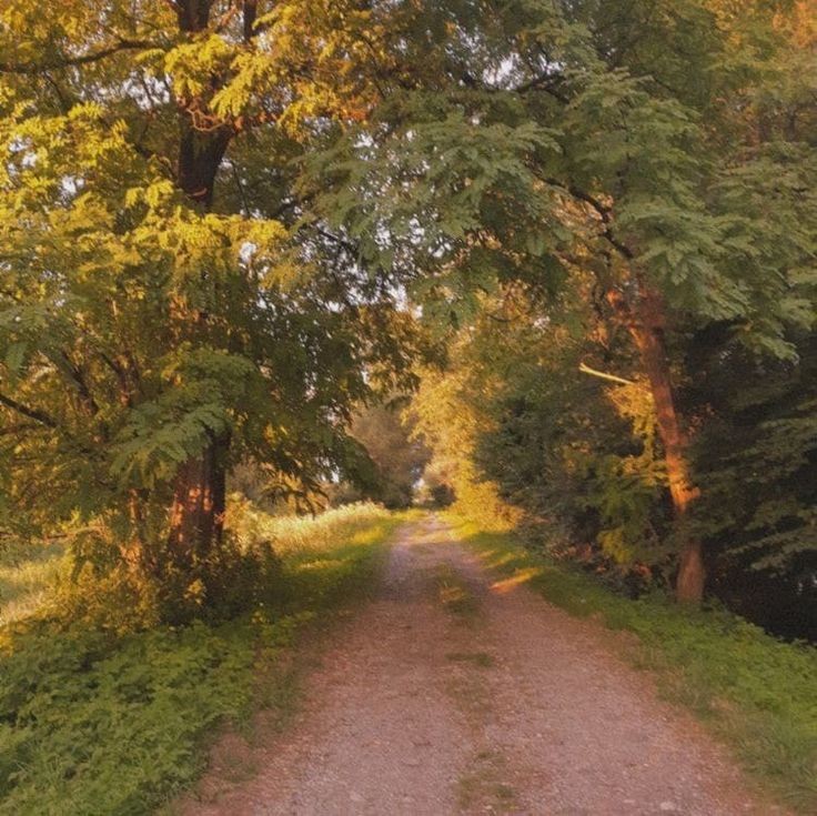 Create meme: road in autumn, early autumn, forest landscape