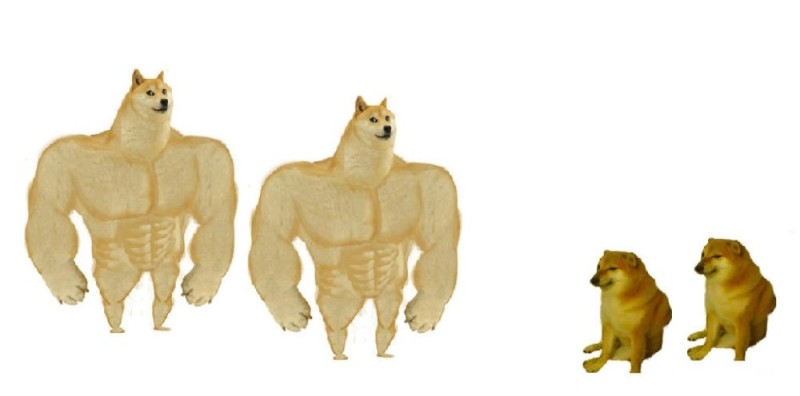 Create meme: doge is a jock, the pumped-up dog from memes, pumped up dog meme