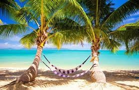 Создать мем: баунти пальма пляж море, тропический пляж, пальмы пляж