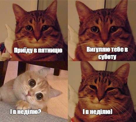 Создать мем: мемы, мем котик, коты мемы