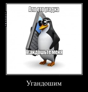 Создать мем: мемы с пингвином алло, пингвин с телефоном, пингвин с телефоном мем