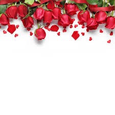 Создать мем: баннер розы цветы, фон цветы, красные розы на белом фоне