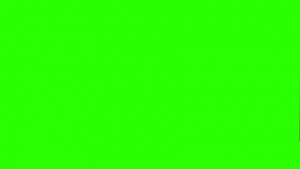 Создать мем: сплошной зеленый цвет, светло зелёный, чисто зелёный фон