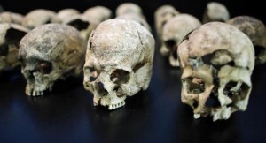 Создать мем: homo floresiensis, homo sapiens, kafatası