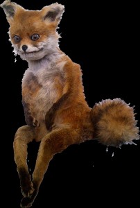 Create meme: a stuffed Fox, uporotyh Fox, stoned Fox
