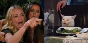 Create meme: the woman yelling at the cat, memes with cats, meme with screaming woman and a cat