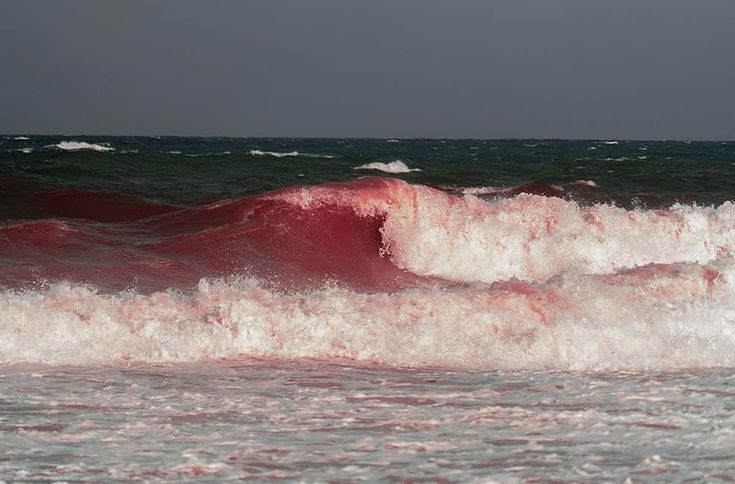 Создать мем: розовое море, море красного цвета, розовые волны