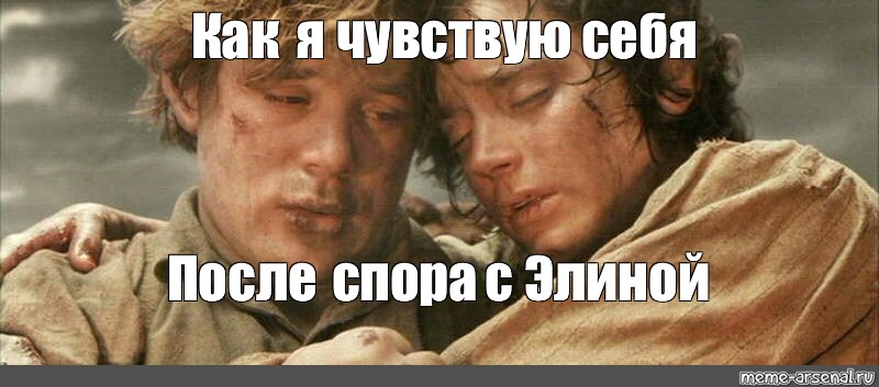 Едешь и чувствуешь. Фродо Мем. Фродо мемы. Когда уложили детей спать Фродо. Когда уложили детей спать Властелин колец.