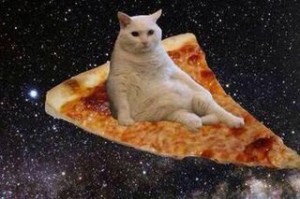 Создать мем: кот в космосе мем, мои сны, котик с пиццей