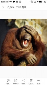 Create meme: yawning orangutan, the monkey laughs