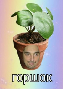 Create meme: Kish pot