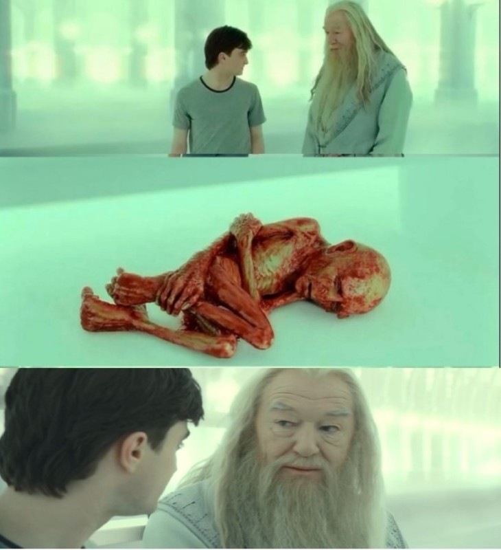 Create meme: hogwarts harry potter, Harry potter and dumbledore, funny harry potter