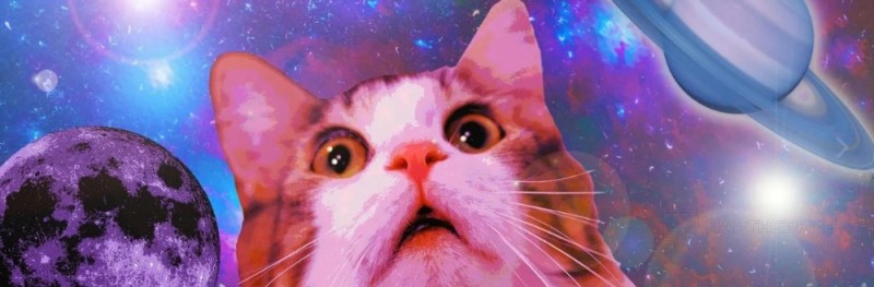 Создать мем: твиттер, кот на фоне космоса, коты в космосе