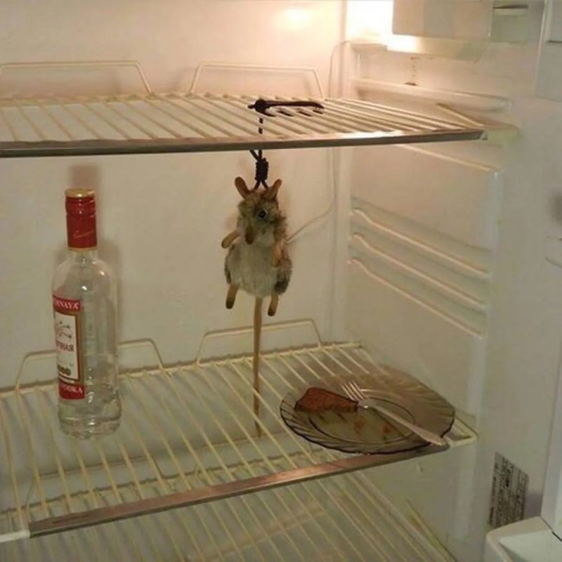 Create meme: the refrigerator is funny, empty fridge, mouse hanged