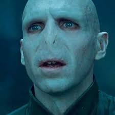 Create meme: Harry Potter , Ralph Fiennes voldemort, It's all Voldemort's fault