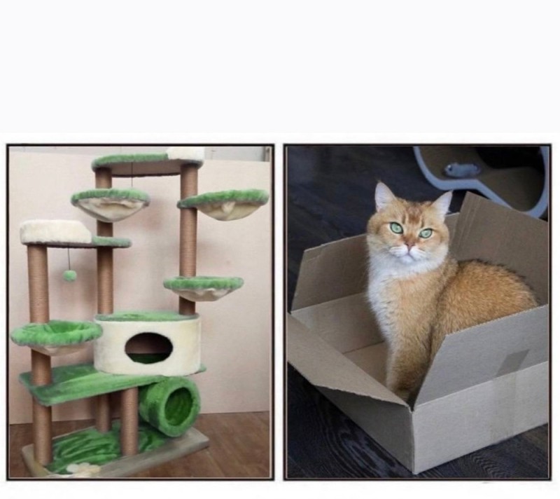 Создать мем: домик для кошки с когтеточкой и лежанкой, когтеточка для мейн куна, когтеточка комплекс для кошек