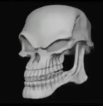 Create meme: skull , the smiling skull, the skull smiles meme