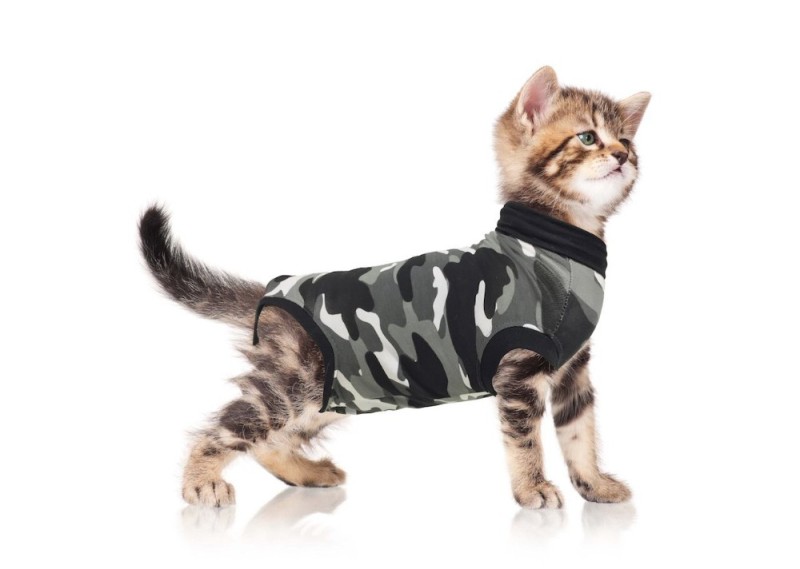 Создать мем: одежда для котиков, одежда для котят, кошка в камуфляже