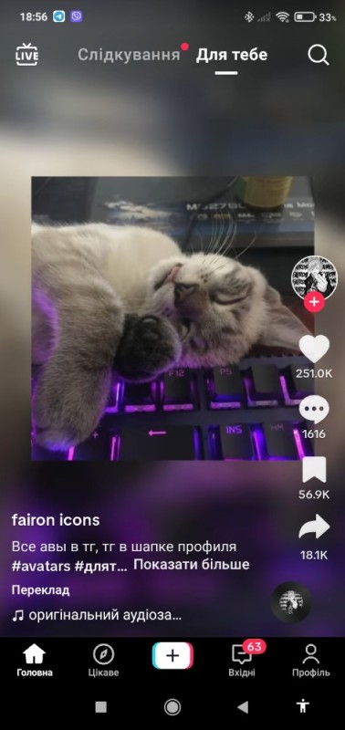 Создать мем: милые котики смешные, животные милые, котик на клавиатуре