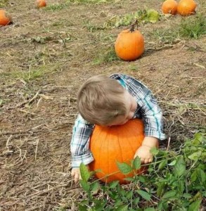Create meme: the little boy in the pumpkin, baby, pumpkin