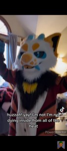 Create meme: fursuit, pursuit