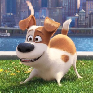 Create meme: the secret life of Pets 2, the secret life of Pets