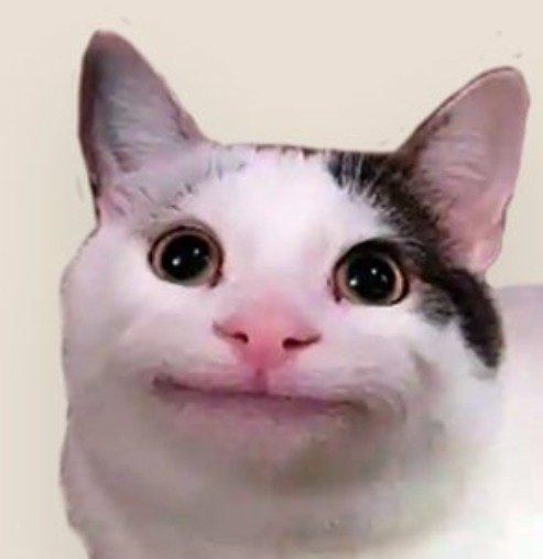 Create meme: weeping cat meme, cat , cat meme