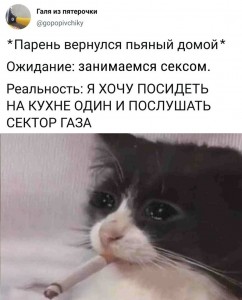 Create meme: the cat is crying, cat with a cigarette, cat