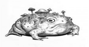 Create meme: figure, toad frog, toad