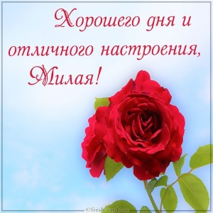 Create meme: roses, card good, good day and good mood