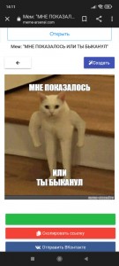 Создать мем: мемы кот качок, текст, кот с руками мем