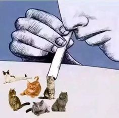 Create meme: smoking tobacco, Berserker, drugs are evil
