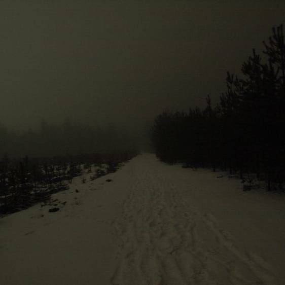 Create meme: dark forest, deep snow, darkness