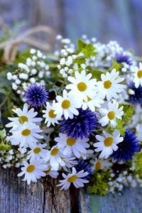 Create meme: wild flowers, pictures of the summer, a simple bouquet of camomiles, wild flowers bouquets pictures