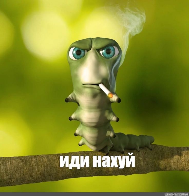 Create meme: caterpillar meme, a worm with a cigarette, the smoking caterpillar